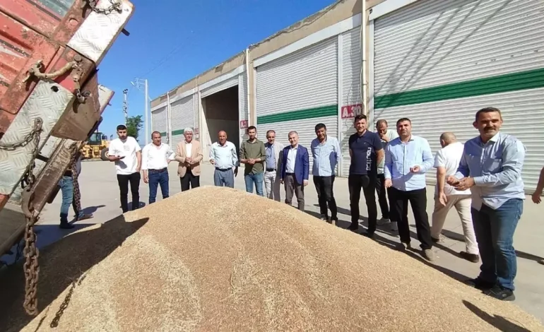 Mardin’de İlk Buğday Hasadı Yapıldı