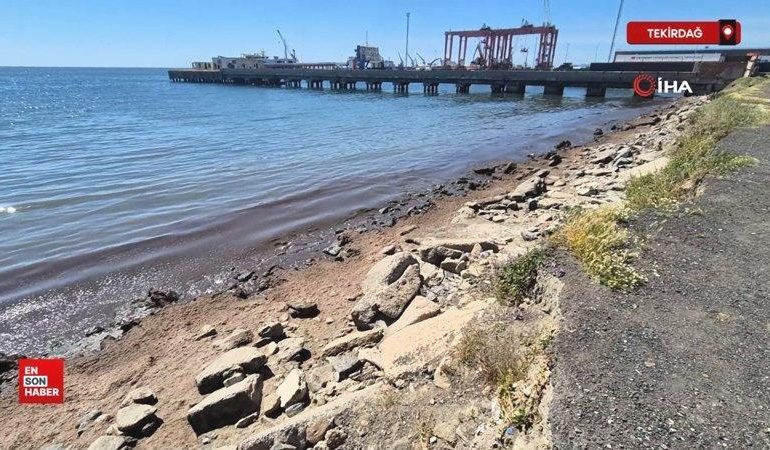 Marmara Denizi’nin Tekirdağ kıyılarında kızıl yosun birikintisi oluştu