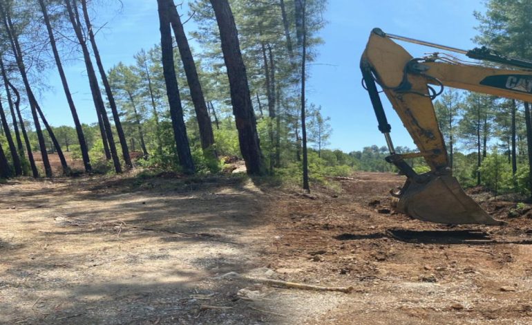 Marmaris’te mesire alanı için orman katliamına başladılar Muğlalır isyan etti
