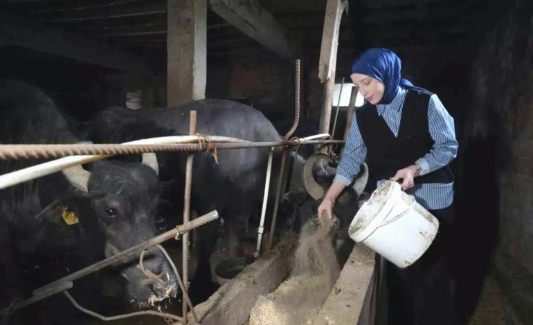 Mart’ta Süt Üretiminde Artış