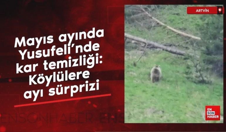 Mayıs ayında Yusufeli’nde kar temizliği: Köylülere ayı sürprizi