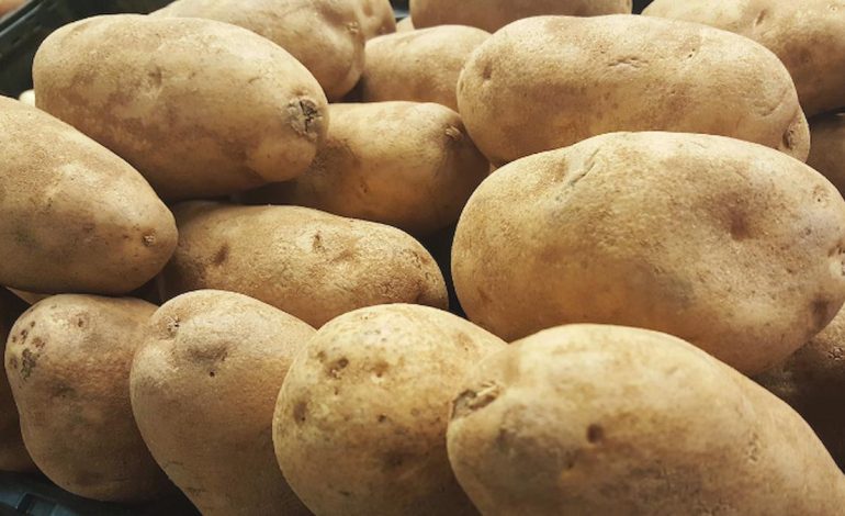 Mersin’de 850 ton patates ‘virüslü’ çıktı