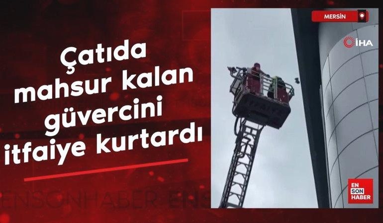 Mersin’de çatıda mahsur kalan güvercini itfaiye kurtardı