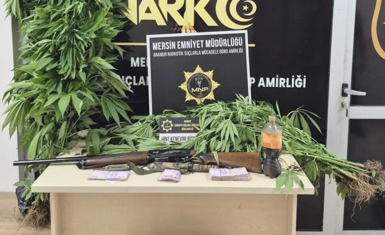 Mersin’de Hint Keneviri Yetiştiren Şüpheli Tutuklandı