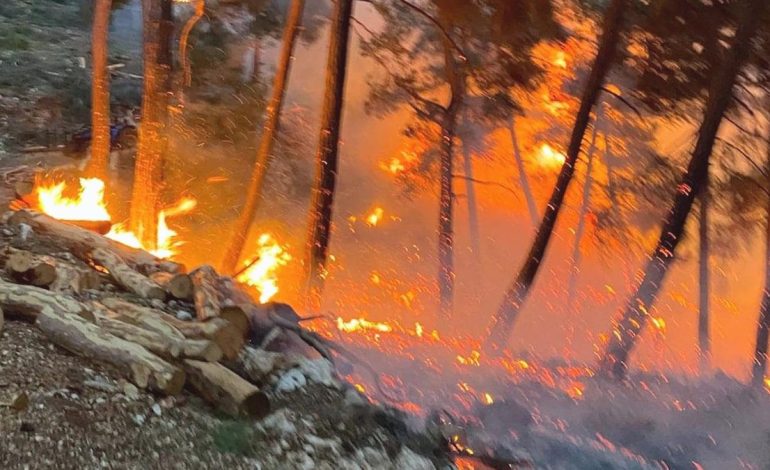 Mersin’de orman yangını: Ekipler seferber oldu