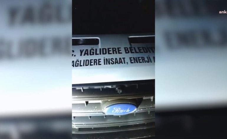 MHP’li belediye sokak hayvanlarını gece yarısı sokağa bıraktı