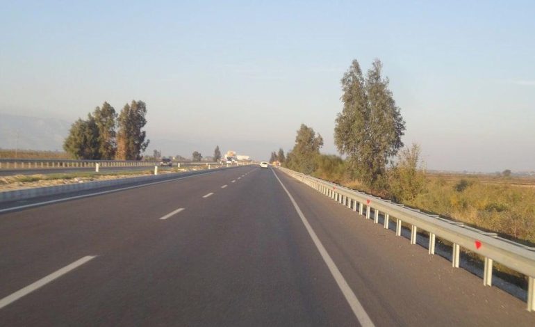 Nesli tükenmekte olan ve koruma altındaki saz kedisi trafiğe kurban gitti