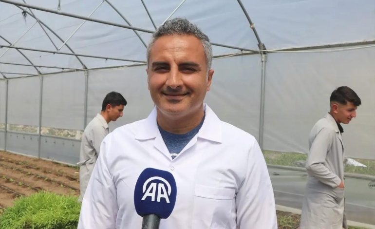 Öğrenciler topraksız tarımla elde ettikleri yeşil yemle hayvancılıkta maliyeti düşürmeyi hedefliyor