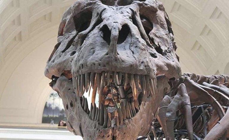 Onları bir meteor öldürmedi! İşte dinozorların gerçek sonu