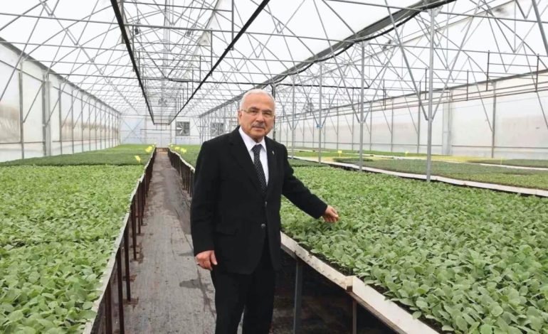 Ordu’da Tarımsal Üretim Hamlesi: 4 Milyon Fide Dağıtıldı