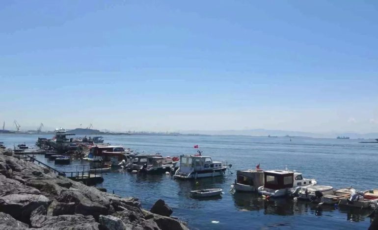 Pendik’te Yavru Köpek Balığı Oltaya Takıldı