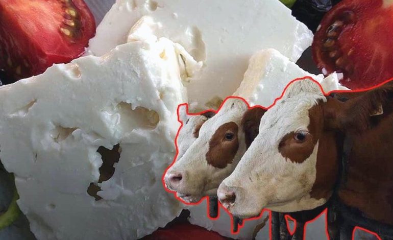Peynir, sıcak iklimin kurbanı oldu