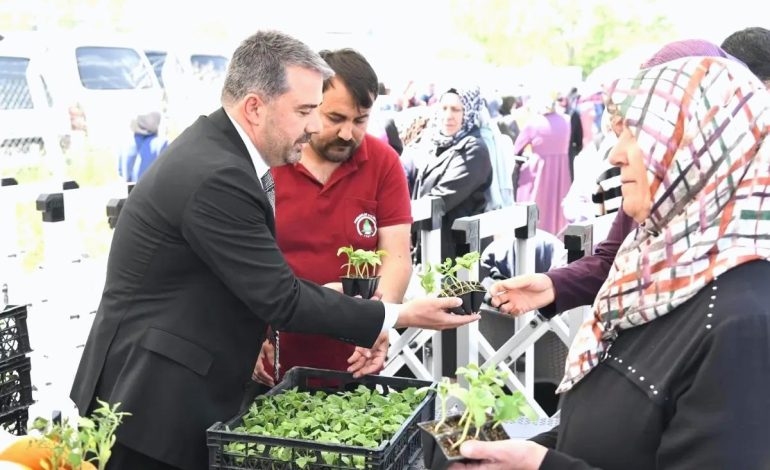 Pursaklar Belediyesi, 4. Geleneksel Ata Tohumu Fide Dağıtımını Gerçekleştirdi
