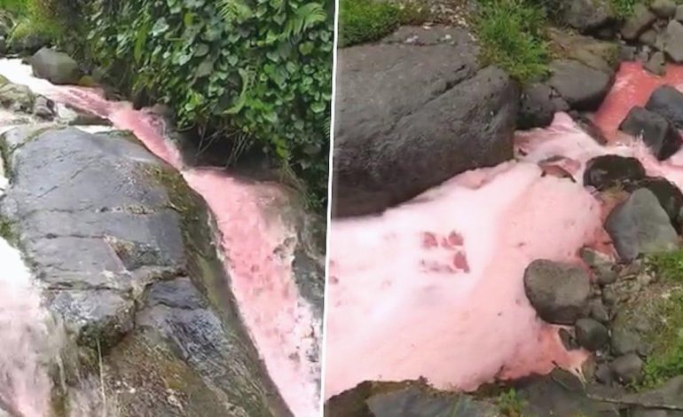 Rize’de derenin rengi kırmızıya döndü, halkı endişelendirdi