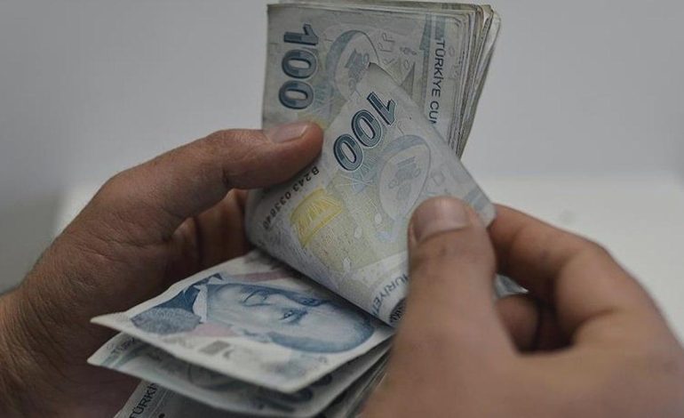 Sadece 10 gün yaşıyor: Koparmanın cezası 557 bin lira