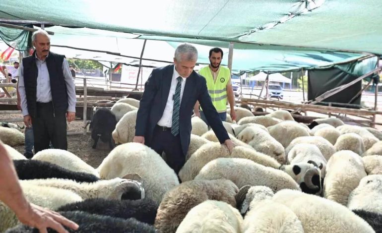 Şahinbey Belediyesi, Kurbanlık Fiyatlarını Düşük Tutacak