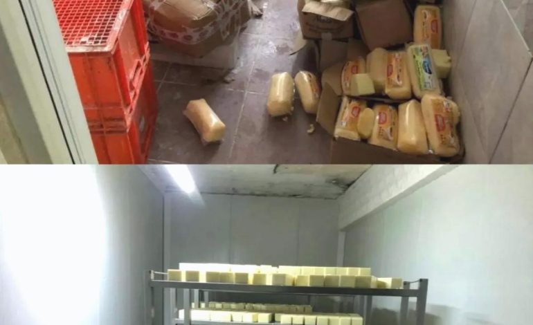 Sakarya’da 5 Ton Sahte Peynir Ele Geçirildi