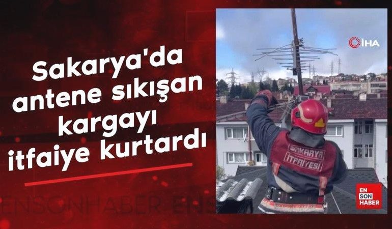 Sakarya’da antene sıkışan kargayı itfaiye kurtardı
