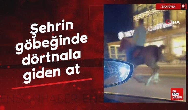 Sakarya’da şehrin göbeğinde dörtnala: Gören dönüp bir daha baktı