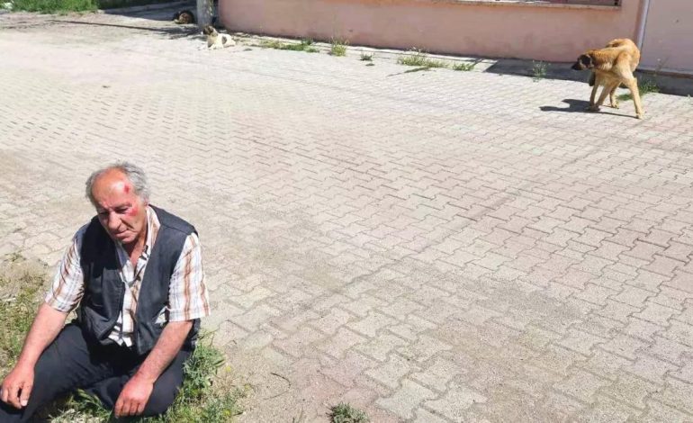 Salda Köyü’nde Yaşlı Adam Sokak Köpeklerinin Saldırısına Uğradı