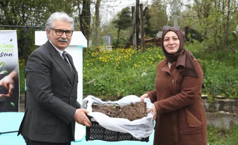 Samsun’da Çilek Üreticilerine 1.5 Milyon TL Destek