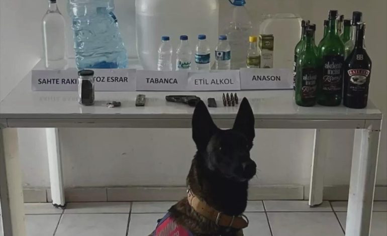 Samsun’da Sahte İçki Operasyonu