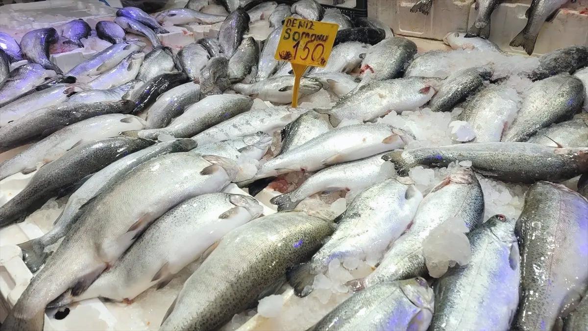 Samsun’da Somon Balığına Yoğun İlgi