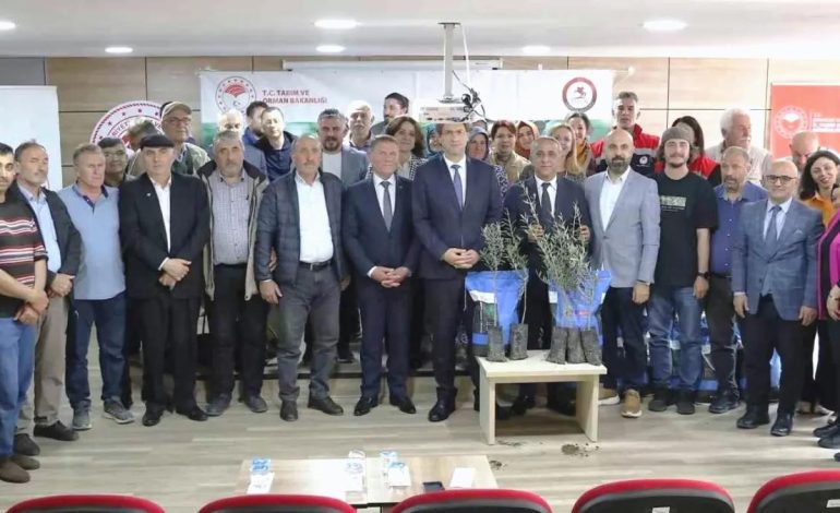 Samsun’da Sorgum Tohumları Dağıtıldı