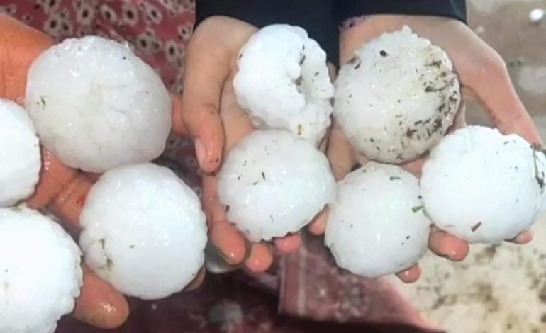 Şanlıurfa’da Dolu Zarar Tespiti