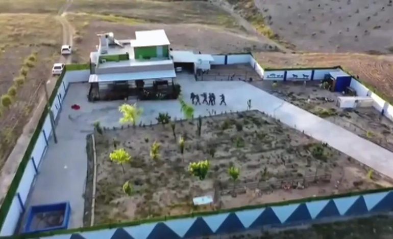 Şanlıurfa’da Tefecilik Operasyonu: 8 Tutuklama