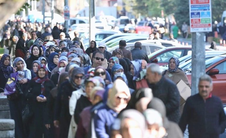 Sebze fiyatları arttı vatandaş bedava fide kuyruğuna girdi