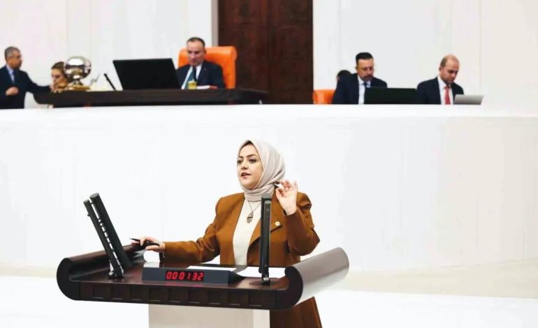 Sema Silkin Ün: Bütçe Açığı İstihdam Sorunu