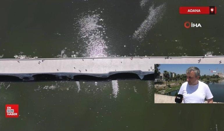 Seyhan Nehri’nde kirlilik: İzmir Körfezi’nden bile daha kötü durumda