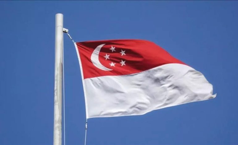 Singapur’da Yeni Parlamento Seçimleri