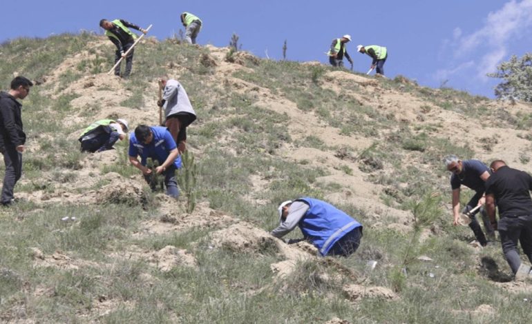 Sivas’ta bu yıl hayatını kaybeden 535 kişi anısına fidan dikildi