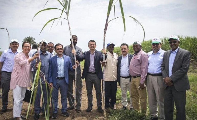 Sudan macerasına 276 milyon gitti