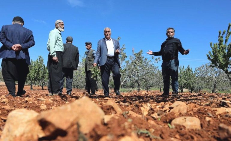 Tarlaya giren çiftçi eyvah dedi: 3 yıl boyunca hasat yapamayacaklar