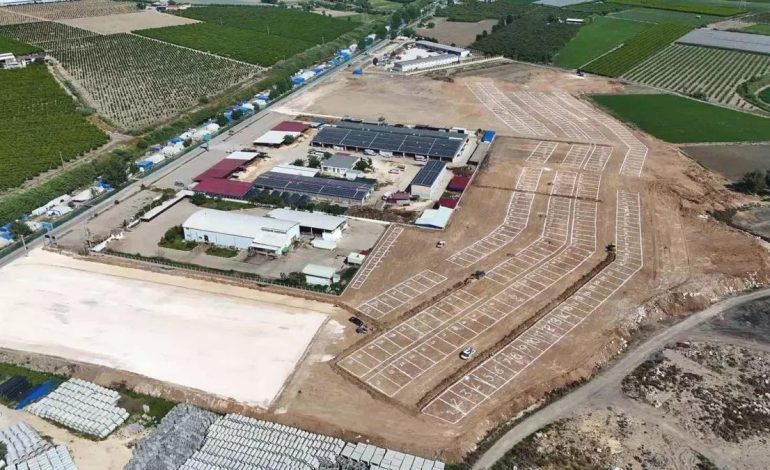 Tarsus’ta Kurban Bayramı İçin Tek Noktada Kurbanlık Satışı