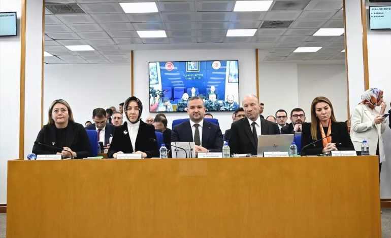 TCMB: Dezenflasyon Süreci Devam Ediyor