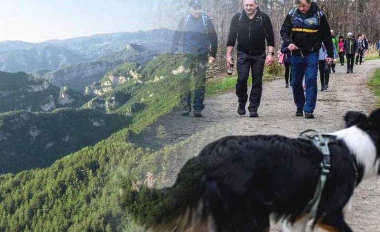 Tehlike pusuda bekliyor! Almanya’da distemper virüsü yayılıyor: Çoğu kurtarılamayacak!