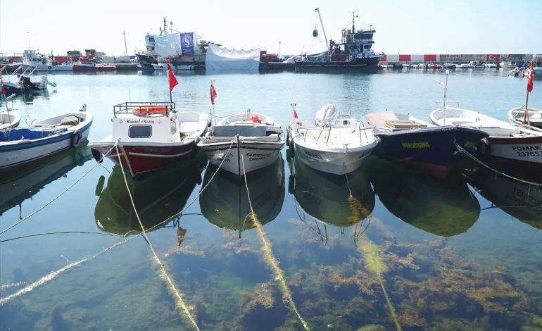Tekirdağ’da Balıkçılar Denize Açıldı