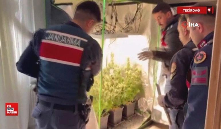 Tekirdağ’da elbise dolabı uyuşturucu serası çıktı