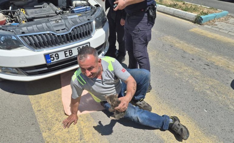 Tekirdağ’da kedi sesiyle, kedi kurtarma operasyonu