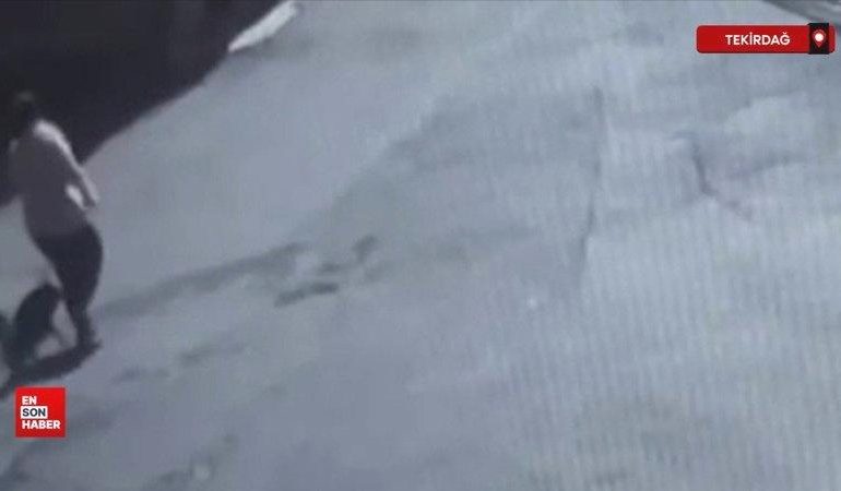 Tekirdağ’da sahipsiz köpeğin ısırdığı kadın yaralandı
