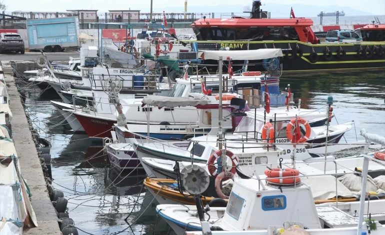 Tekirdağ’da Taze Balık Avı Devam Ediyor