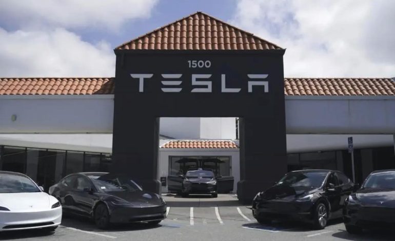 Tesla’nın Hollanda Satışları Yüzde 75 Düştü