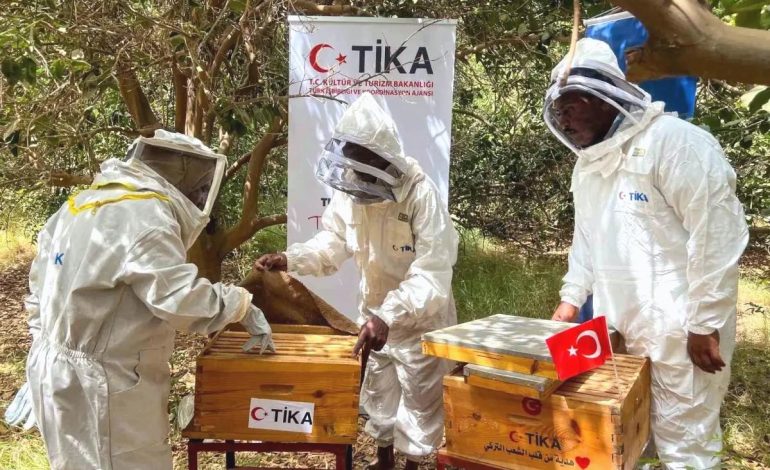 TİKA, Sudan’da Arıcılığa Destek Verdi