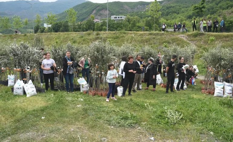 TİKA’dan Arnavutlara Zeytin Fidanı Desteği