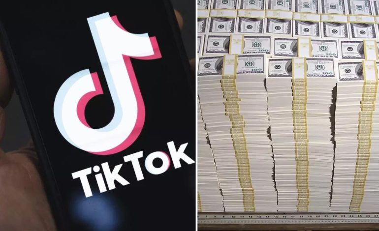 TikTok’a görülmemiş miktarda para cezası