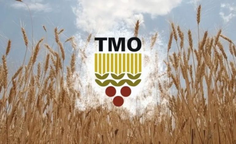 Toprak Mahsulleri Ofisi’nde (TMO) buğday ve arpa alımı ne zaman? Serbest piyasada son durum ne?